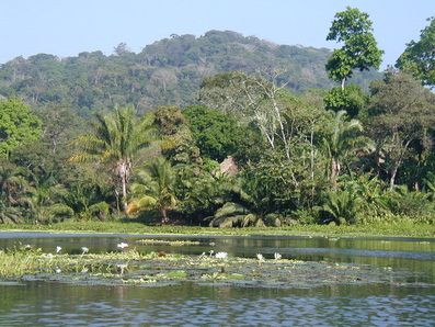 Picture